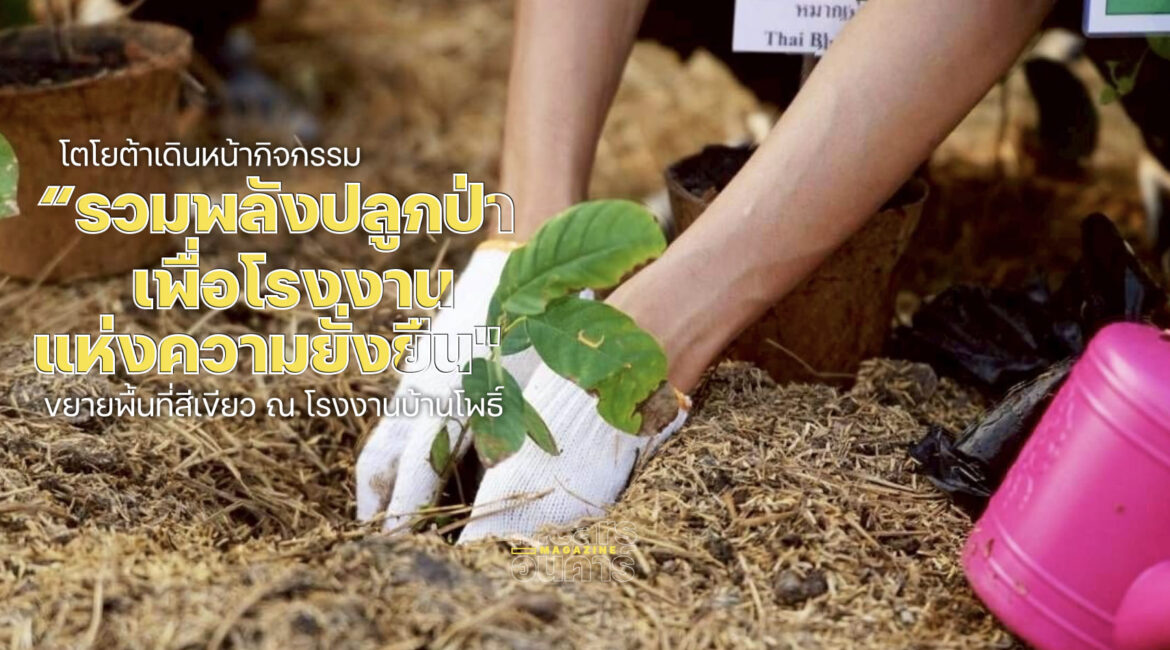 โตโยต้ารวมพลังปลูกป่าเพื่อโรงงานแห่งความยั่งยืน